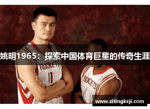 姚明1965:探索中国体育巨星的传奇生涯 姚明1965:探索中国体育巨星的传奇生涯