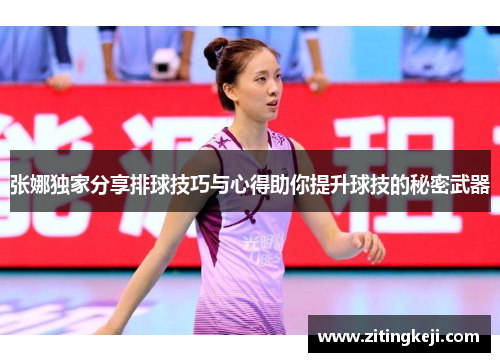 张娜独家分享排球技巧与心得助你提升球技的秘密武器