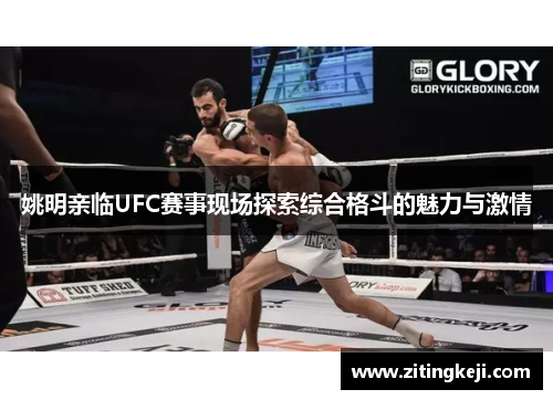 姚明亲临UFC赛事现场探索综合格斗的魅力与激情