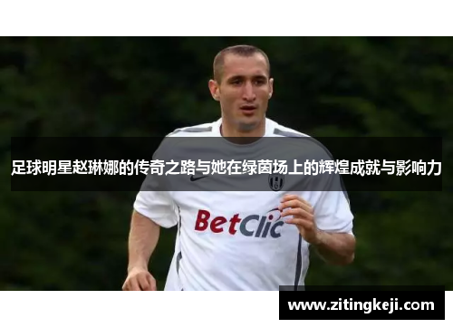 足球明星赵琳娜的传奇之路与她在绿茵场上的辉煌成就与影响力
