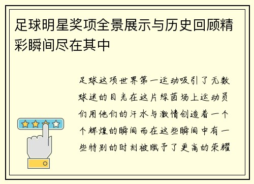 足球明星奖项全景展示与历史回顾精彩瞬间尽在其中